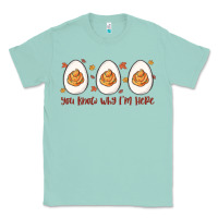 Seafoam you know why i'm here Classic Tee - MaliasSmallBusiness