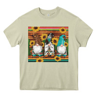 Mossy western gnomes cactus sunflowers serape wooden leopard gemstone Heavy Core Tee - Artiststas