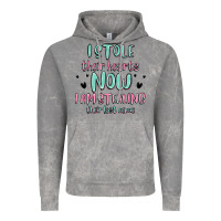 Cloud Rock i stole their hearts now i am stealing their last Vintage Hoodie - MaliasSmallBusiness