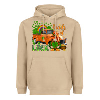 Mushroom St. Patrick's Loads of luck with gnome Heavyweight Hoodie - HowdyJamesFarm