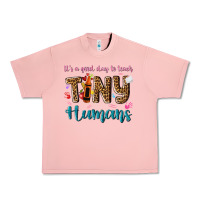 Salmon its a good day to teach tiny humans Urban Heavy Tee - NancyCooperArtShop