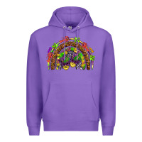 Purple Mardi Gras rainbow Premium Hoodie - HowdyJamesFarm