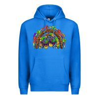 True Royal Mardi Gras rainbow Premium Hoodie - HowdyJamesFarm