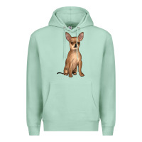 Seafoam chihuahua Premium Hoodie - JahusDesignShop
