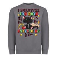 Storm i survived 100 days it's fine i'm fine Heavyweight Sweatshirt - Artiststas