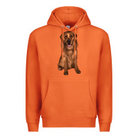 Carrot labrador Premium Hoodie - JahusDesignShop