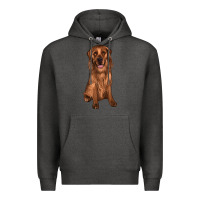 Charcoal Heather labrador Premium Hoodie - JahusDesignShop