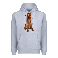 Heather Grey labrador Premium Hoodie - JahusDesignShop