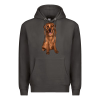 Smoke labrador Premium Hoodie - JahusDesignShop