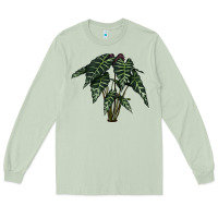 Matcha Amazon Elephant Ear Long Sleeve Tee - LillyAllenDesigns