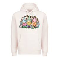 Pale Pink Easter Day gnomes Premium Hoodie - HowdyJamesFarm