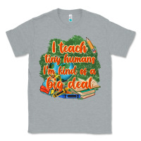 Heather Grey i teach tiny humans im kind of a big deal Classic Tee - NancyCooperArtShop