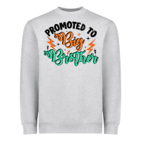 Promoted To Big Brother Heavyweight Sweatshirt | Teevron