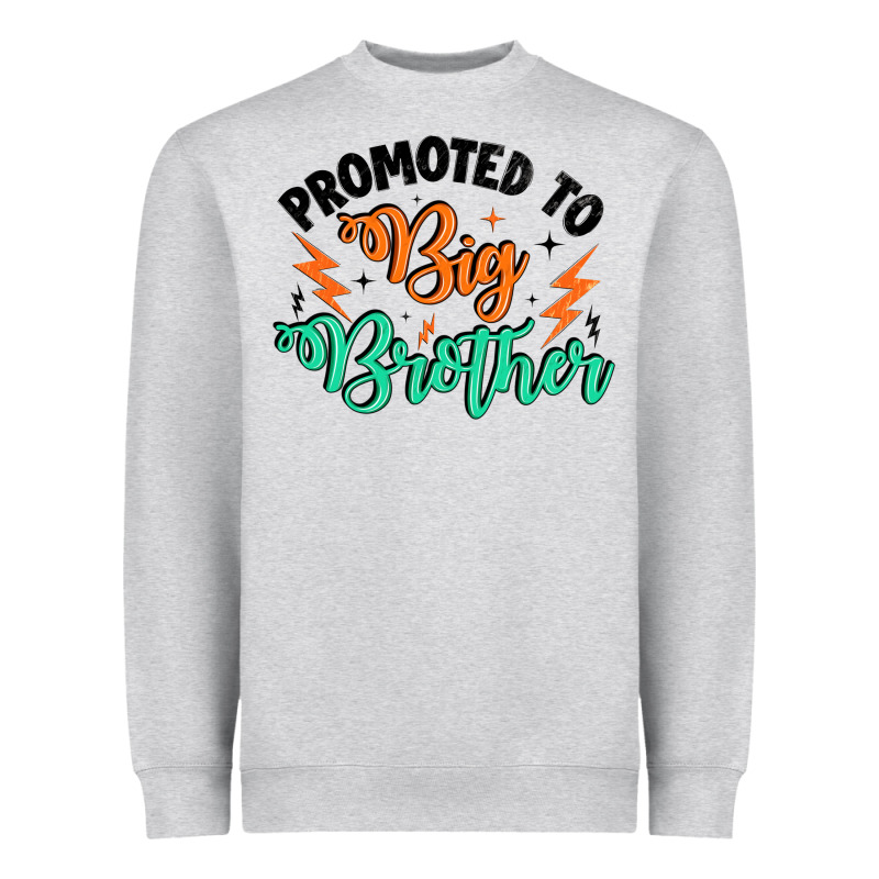 Promoted To Big Brother Heavyweight Sweatshirt by Artiststas | Teevron