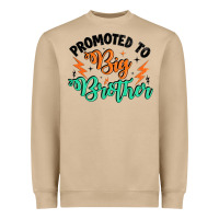 Mushroom promoted to big brother Heavyweight Sweatshirt - Artiststas