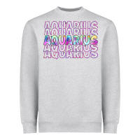 Aquarius Heavyweight Sweatshirt | Teevron