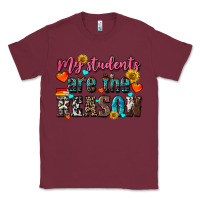 Burgundy my students are the reason Classic Tee - NancyCooperArtShop