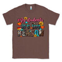 Chestnut my students are the reason Classic Tee - NancyCooperArtShop