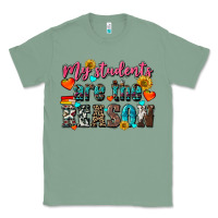 Sage my students are the reason Classic Tee - NancyCooperArtShop