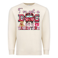 I've Got A Bus Full Of Valentine Premium Sweatshirt | Teevron