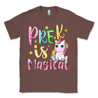 Chestnut pre k is magical Classic Tee - NancyCooperArtShop