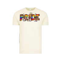 Vintage Arctic pride gnome Vintage Tee - JahusDesignShop