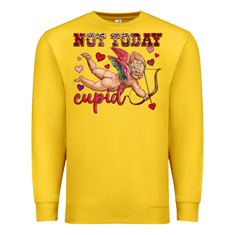 Not Today Cupid Premium Sweatshirt by OliviaCreatesArt | Teevron