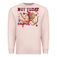 Pale Pink not today cupid Premium Sweatshirt - OliviaCreatesArt