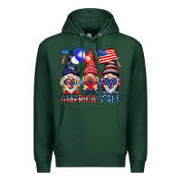 Sports Green America y'all with gnomies Premium Hoodie - HowdyJamesFarm