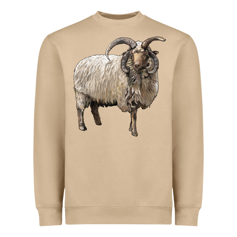 Navajo Churro Sheep Heavyweight Sweatshirt by LillyAllenDesigns | Teevron