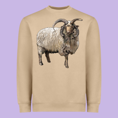 Navajo Churro Sheep Heavyweight Sweatshirt Designed By Lillyallendesigns