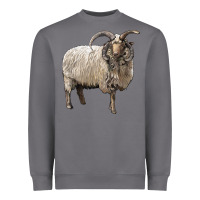 Storm navajo churro sheep Heavyweight Sweatshirt - LillyAllenDesigns