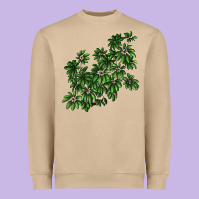 Botanical Schefflera Illustrations Heavyweight Sweatshirt Designed By Lillyallendesigns
