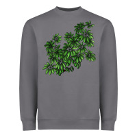 Storm Botanical Schefflera Illustrations Heavyweight Sweatshirt - LillyAllenDesigns