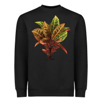 Black Croton Heavyweight Sweatshirt - LillyAllenDesigns