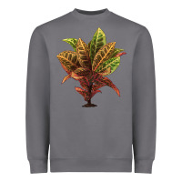 Storm Croton Heavyweight Sweatshirt - LillyAllenDesigns