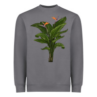 Storm the bird of paradise Heavyweight Sweatshirt - LillyAllenDesigns