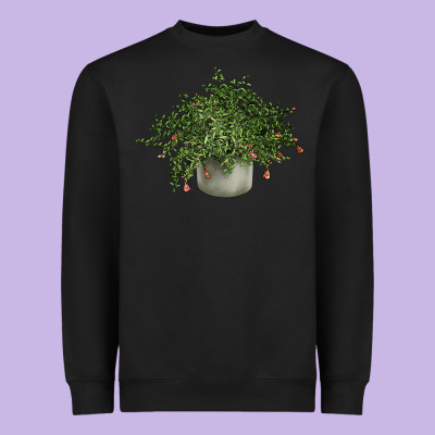 Dwarf Pomegranate Tree Illustrations Heavyweight Sweatshirt Designed By Lillyallendesigns