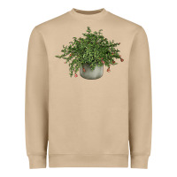 Mushroom Dwarf Pomegranate Tree Illustrations Heavyweight Sweatshirt - LillyAllenDesigns