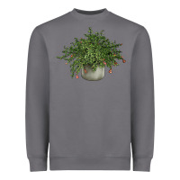 Storm Dwarf Pomegranate Tree Illustrations Heavyweight Sweatshirt - LillyAllenDesigns