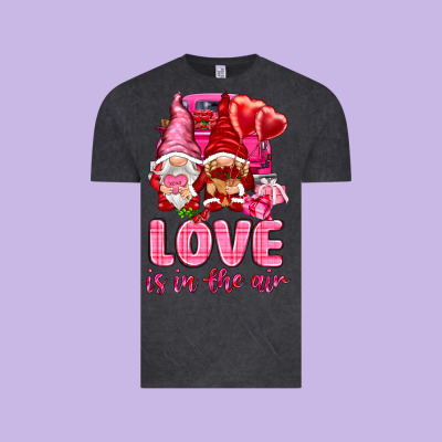 Love Is In The Air With Gnomies Vintage Tee Designed By Nancycooperartshop