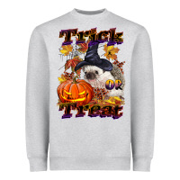 Heather Grey Halloween Hedgehog Trick Or Treat Heavyweight Sweatshirt - LillyAllenDesigns