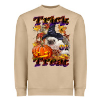 Mushroom Halloween Hedgehog Trick Or Treat Heavyweight Sweatshirt - LillyAllenDesigns