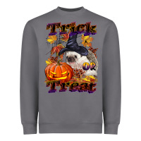 Storm Halloween Hedgehog Trick Or Treat Heavyweight Sweatshirt - LillyAllenDesigns