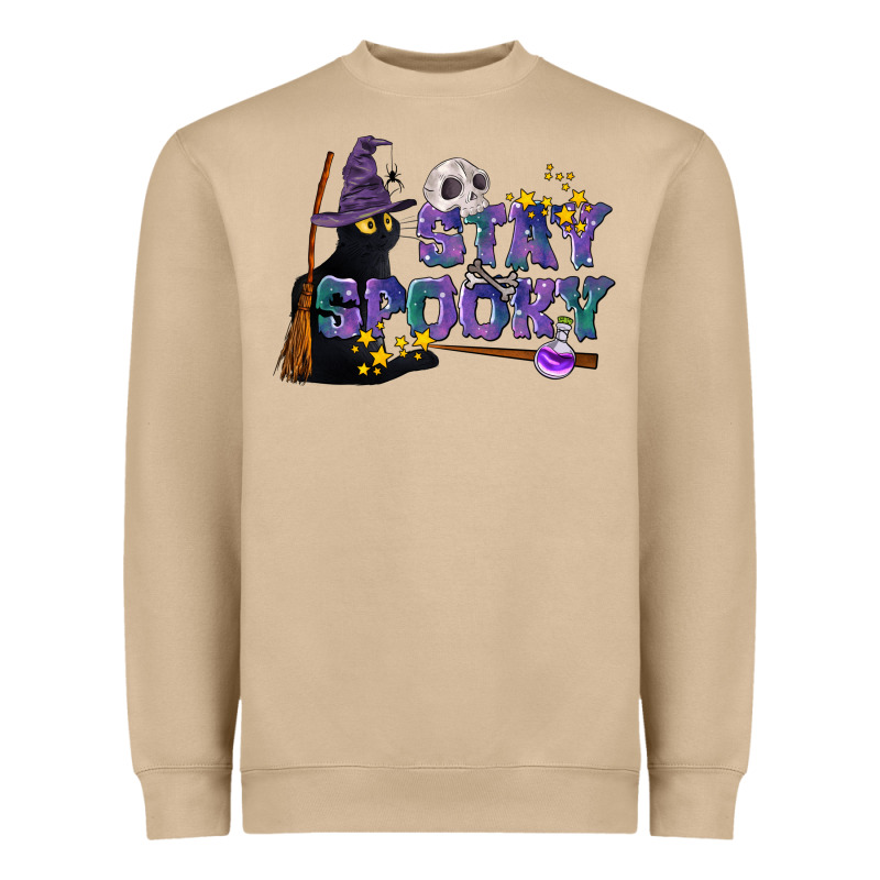 Stay Spooky With Black Cat Heavyweight Sweatshirt by LillyAllenDesigns | Teevron