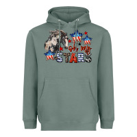 Sage Oh my stars horse 4th of july Heavyweight Hoodie - CowGirlArtShop