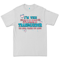 Dove Grey im scary transgender the media warned you about Premium Tee - JahusDesignShop