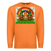 Carrot St. Patrick's Day gnomies tumbler Premium Sweatshirt - HowdyJamesFarm