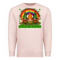 Pale Pink St. Patrick's Day gnomies tumbler Premium Sweatshirt - HowdyJamesFarm