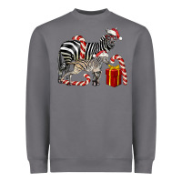 Storm Christmas Zebra Baby And Mama Heavyweight Sweatshirt - LillyAllenDesigns
